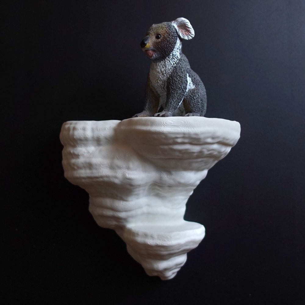 Gazzaladra Unique Wall shelf Interior Decor “Fomentarius Fungus” for Party
